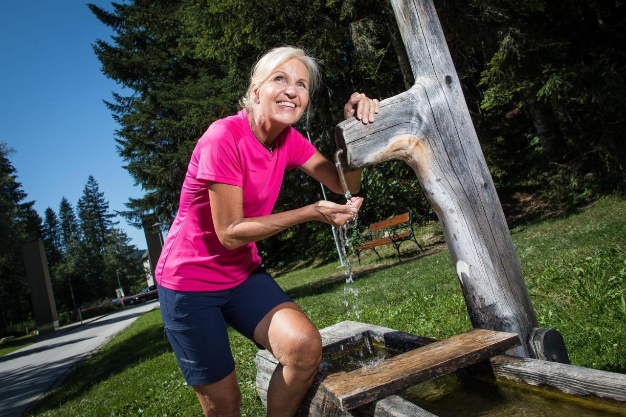 Gesundheit & Wellness Resort Bad Mitterndorf Kültér fotó